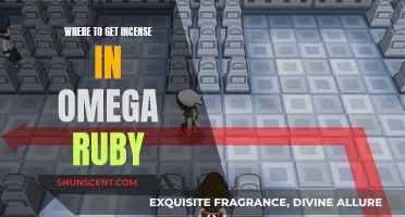Best Incense Locations in Omega Ruby