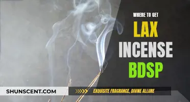Best Places to Find Lax Incense in Pokémon BDSP