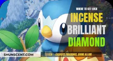Luck Incense in Pokémon BD: Where to Find It