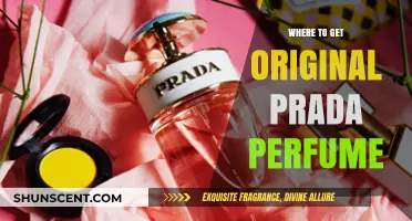 Authentic Prada Perfumes: Top Trusted Retailers and Online Sources