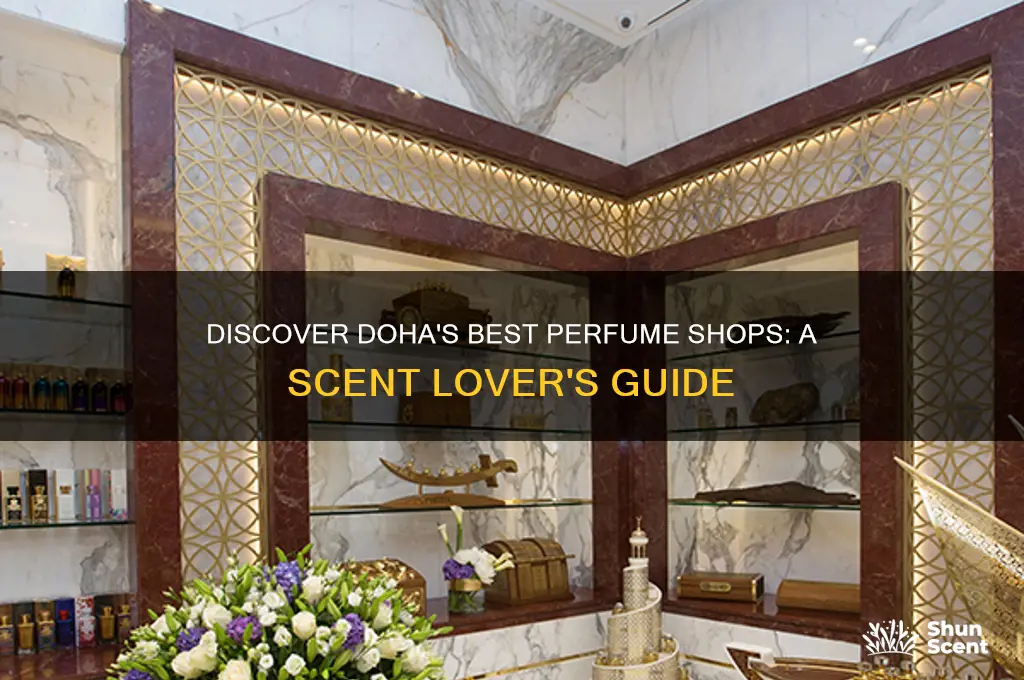where to get perfumes in doha