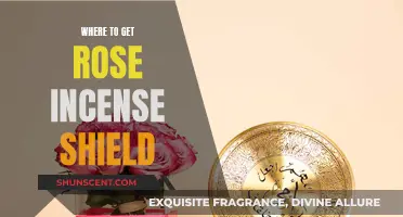 Finding the Rose Incense Shield: Location Guide