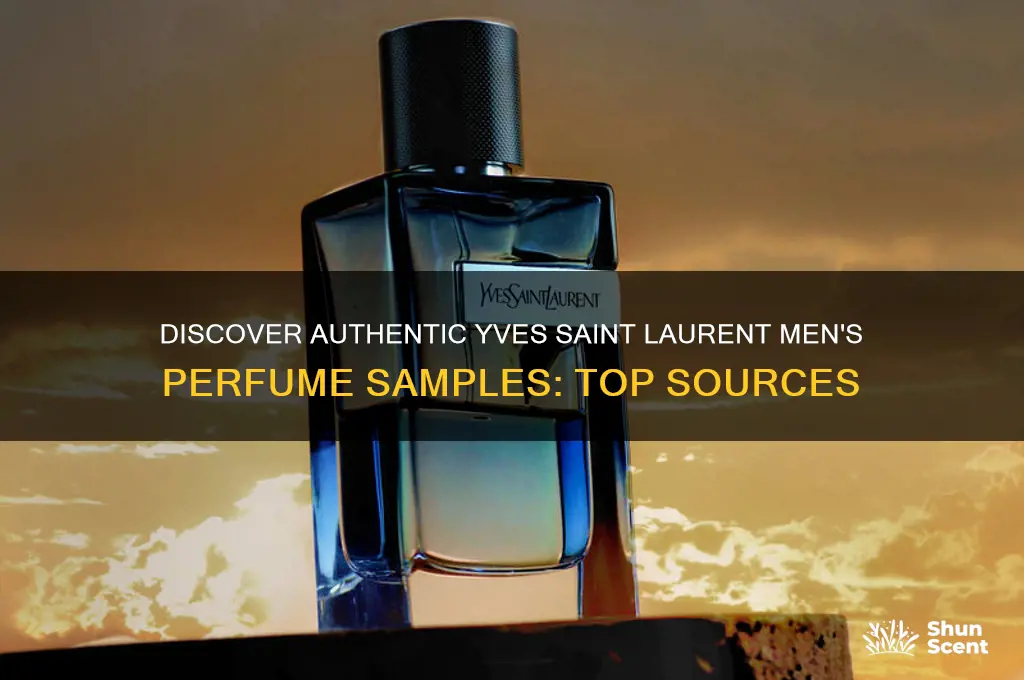 where to get sample of yves saint mens perfume