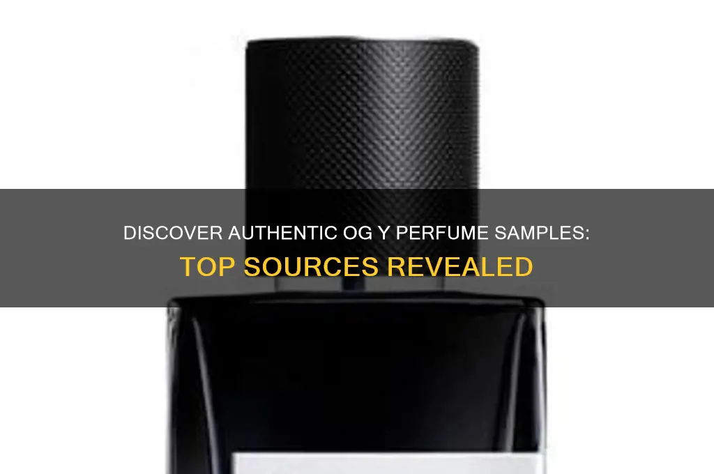 where to get sample og y perfume