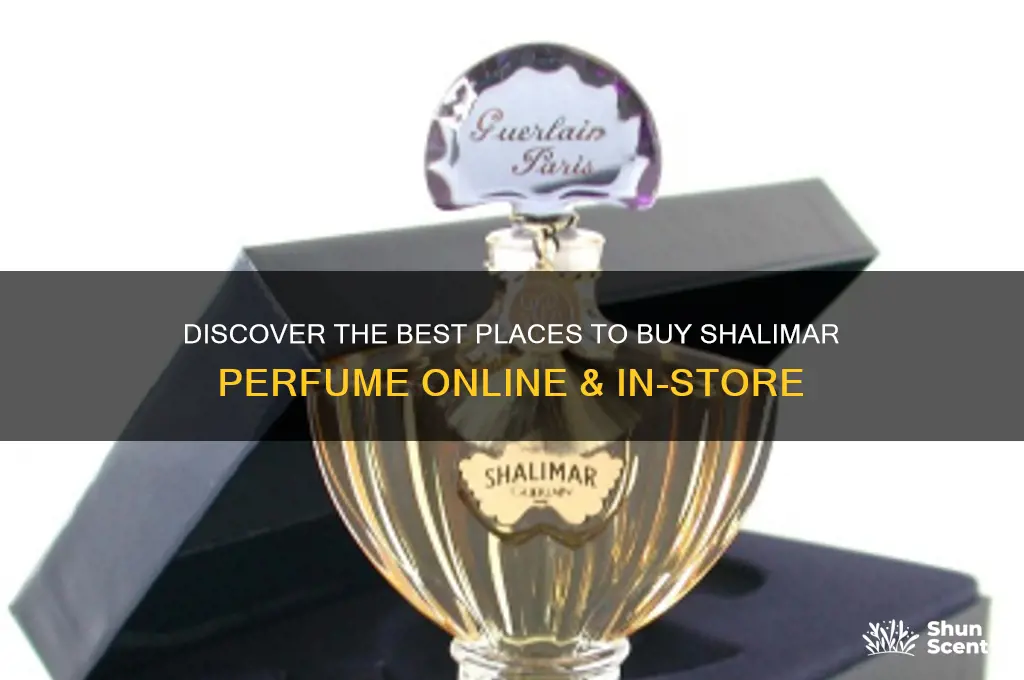 where to get shalimar perfume