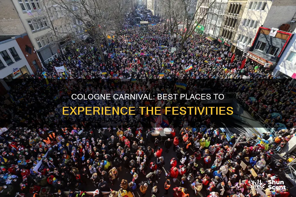 where to go cologne carnival