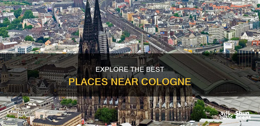 where to go near cologne