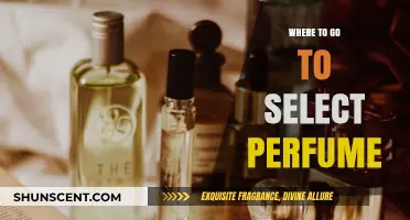 Discover Your Signature Scent: Top Destinations for Choosing the Perfect Perfume