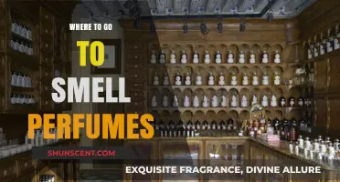 Explore Fragrances: Best Places to Smell Perfumes