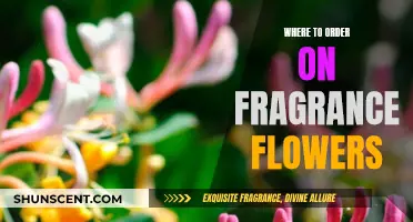 Explore the Best Places to Order Fragrant Flowers