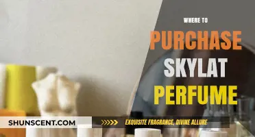 Discover the Best Retailers to Buy Skylat Perfume Online & In-Store