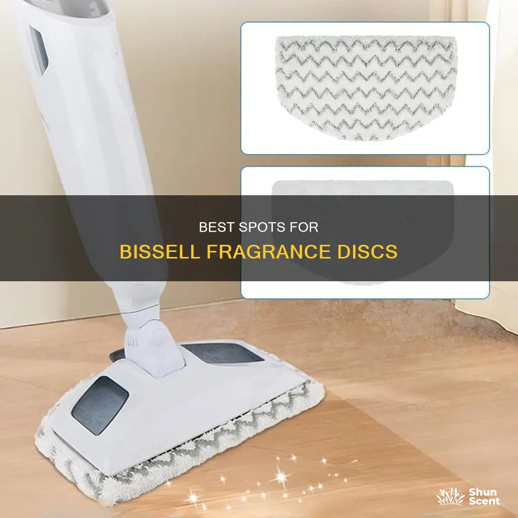 where to put bissell fragrance discs