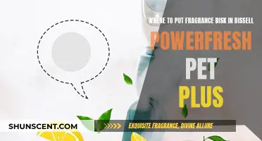 Best Placement for Fragrance Disk in Bissell Powerfresh