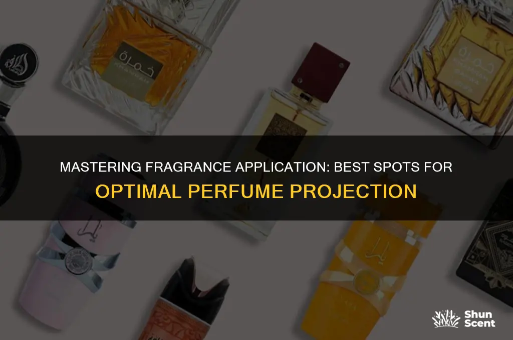 where to put perfume for perfect prjection