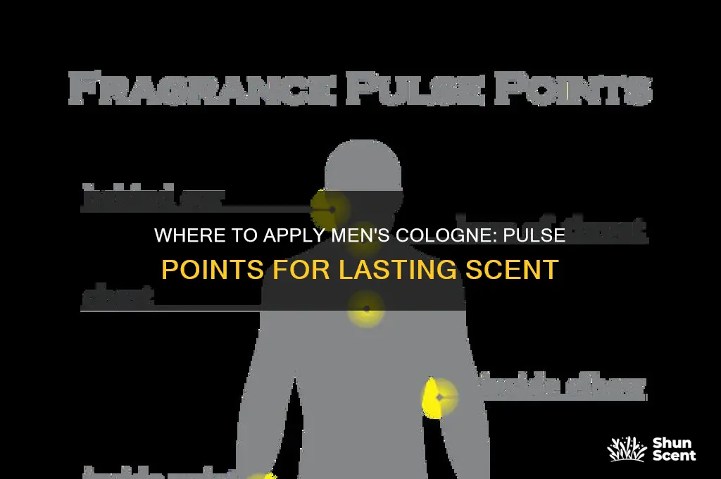 where to put perfume male