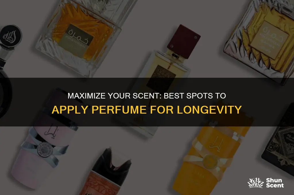 where to put perfume so it lasts