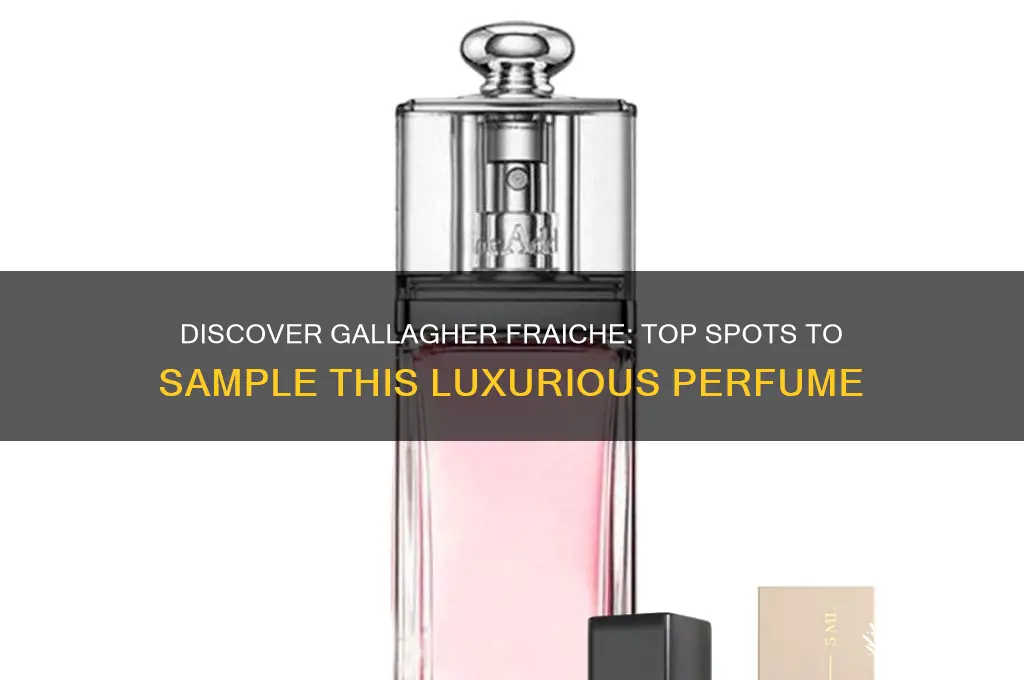 where to sample gallagher fraiche perfume