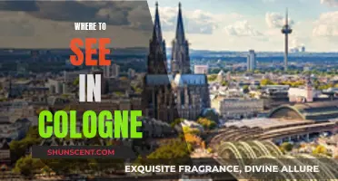 Explore Cologne's Must-See Attractions and Hidden Gems