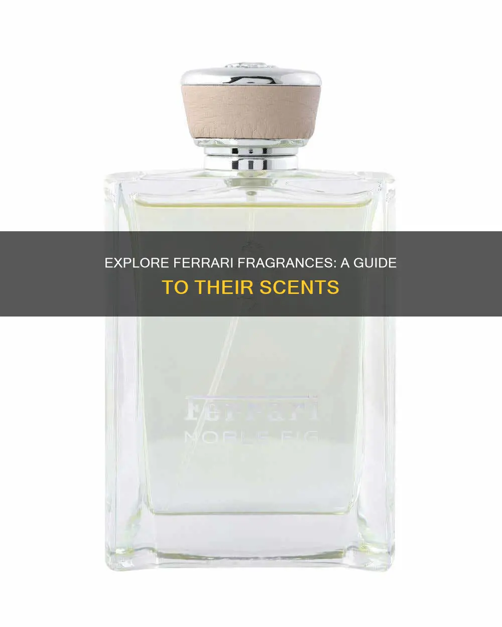 where to smell ferrari fragrances