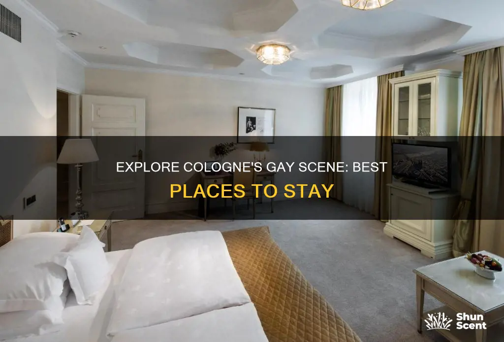 where to stay in cologne gay