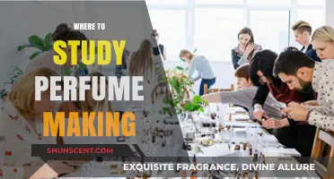 Discover Top Schools for Perfume Making: Your Scented Journey Awaits