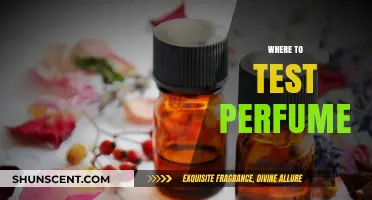 Discover the Best Spots to Test Perfume Like a Pro