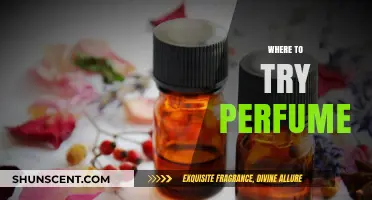 Discover the Best Spots to Test and Try Perfumes