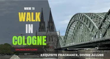 Explore Cologne's Best Walking Routes and Locations