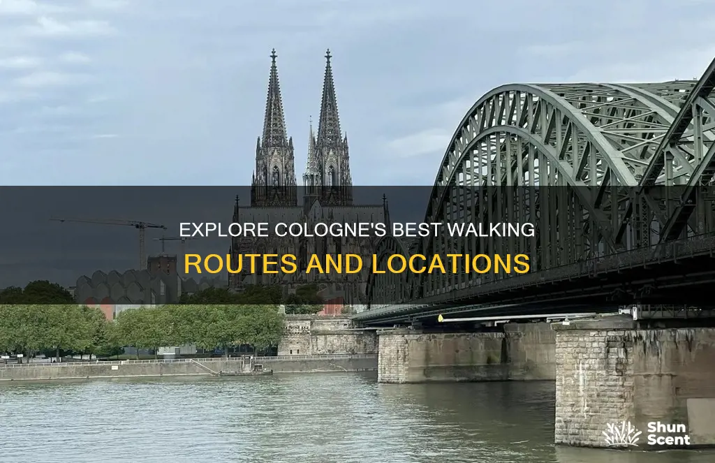 where to walk in cologne