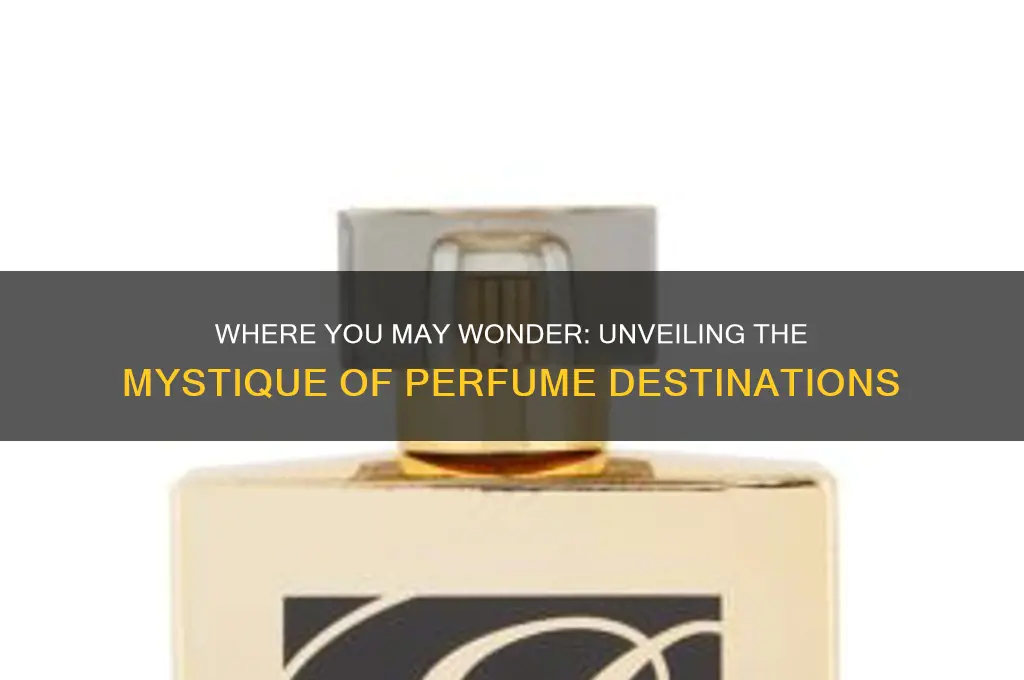 where u may wonder perfume