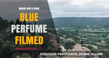 Unveiling the Scenic Filming Locations of 'A Dark Blue Perfume