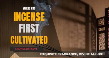 Incense Cultivation: Where Did It Begin?