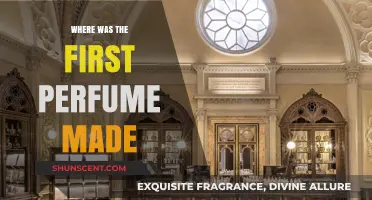 Unveiling the Ancient Origins of the World's First Perfume Creation