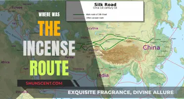 Incense Route: Ancient Trade's Fragrant Trail