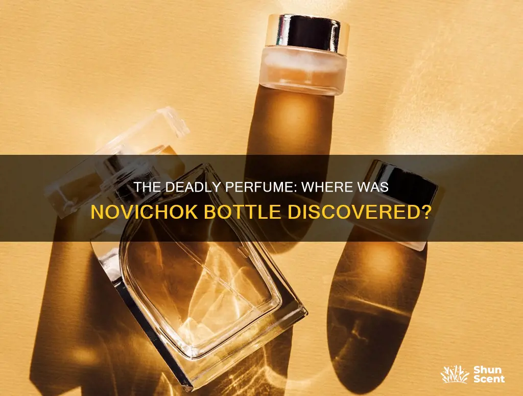 where was the novichok perfume bottle found