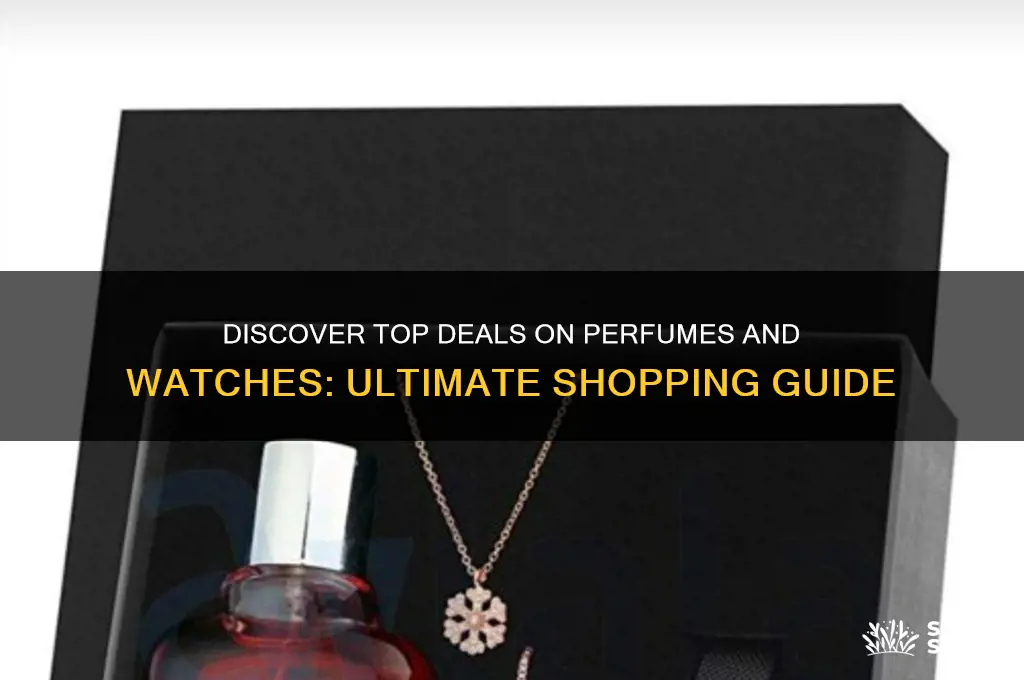 where we get best price perfume watches