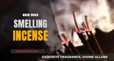 Incense Aromas: A Guide to Scents and Their Effects