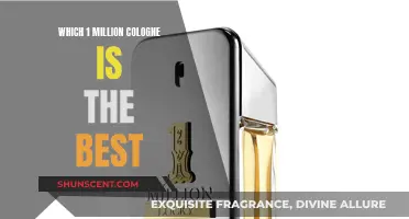 Exploring the Best 1 Million Colognes: A Definitive Guide