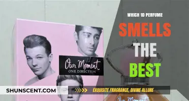 The Best 1D Perfumes: Our Top Picks