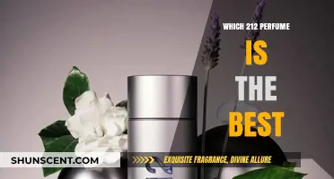 Discover the Ultimate 212 Perfume: Top Picks and Reviews