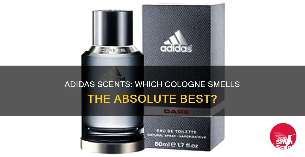 which adidas cologne smells the best