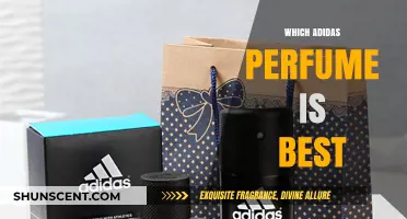 Discover the Best Adidas Perfume: Top Picks and Reviews