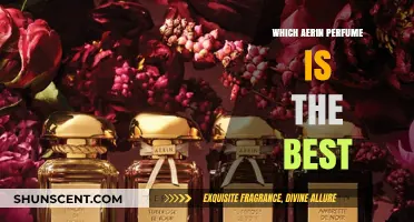 Discover the Best Aerin Perfume: A Scent Lover's Guide