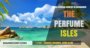 Discover the African Nation Known as the Perfume Isles