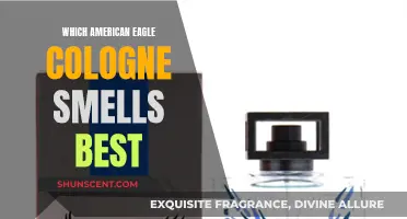 American Eagle Colognes: The Best Scents for Men