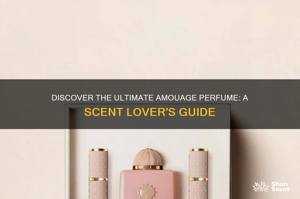 which amouage perfume is the best