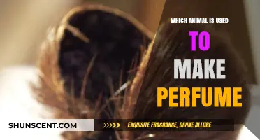 The Secret Animal in Your Perfume