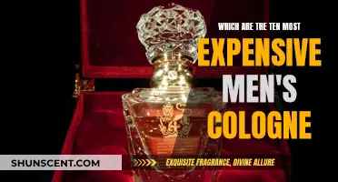 The Most Expensive Colognes for Men: Top 10 List