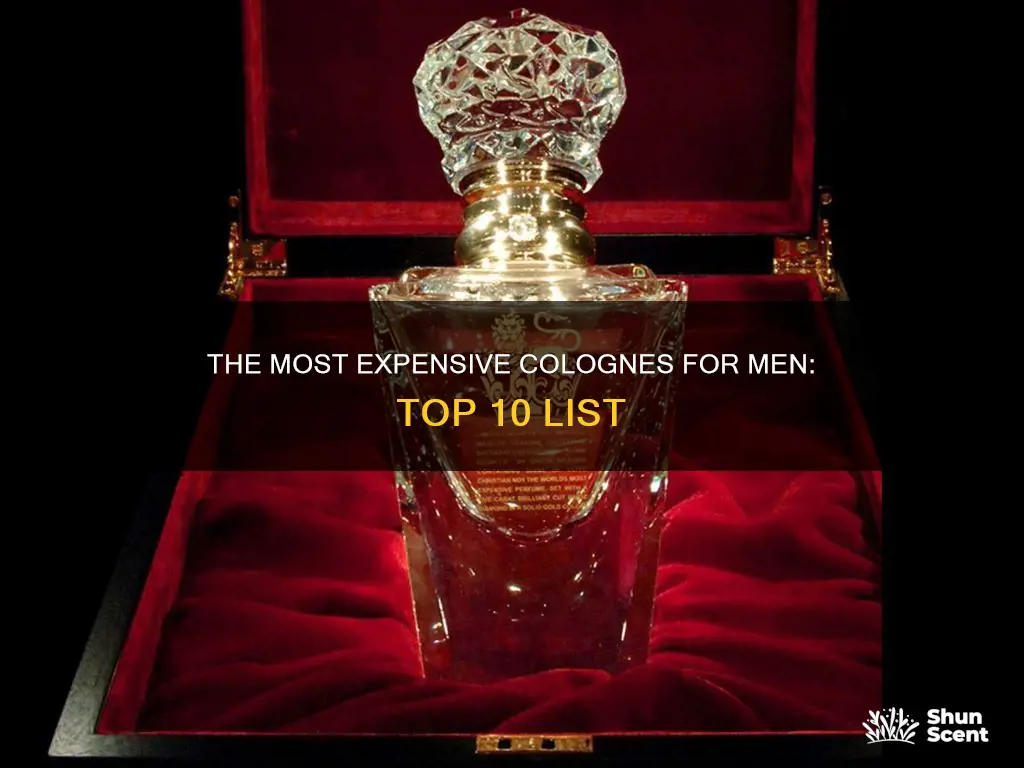 which are the ten most expensive men