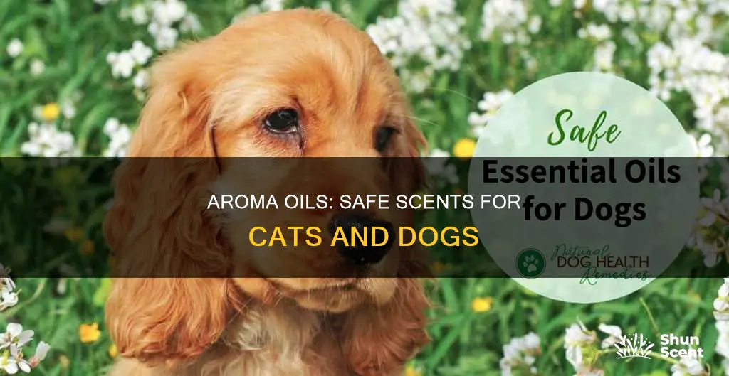 which aroma essentail oils are safe for cats and dogs